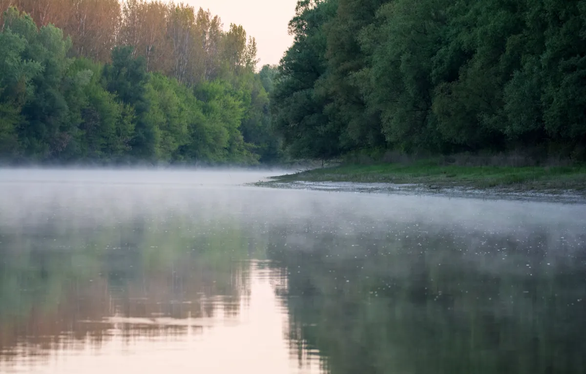 Photo,Of,Old,Danube,At,Gemenc