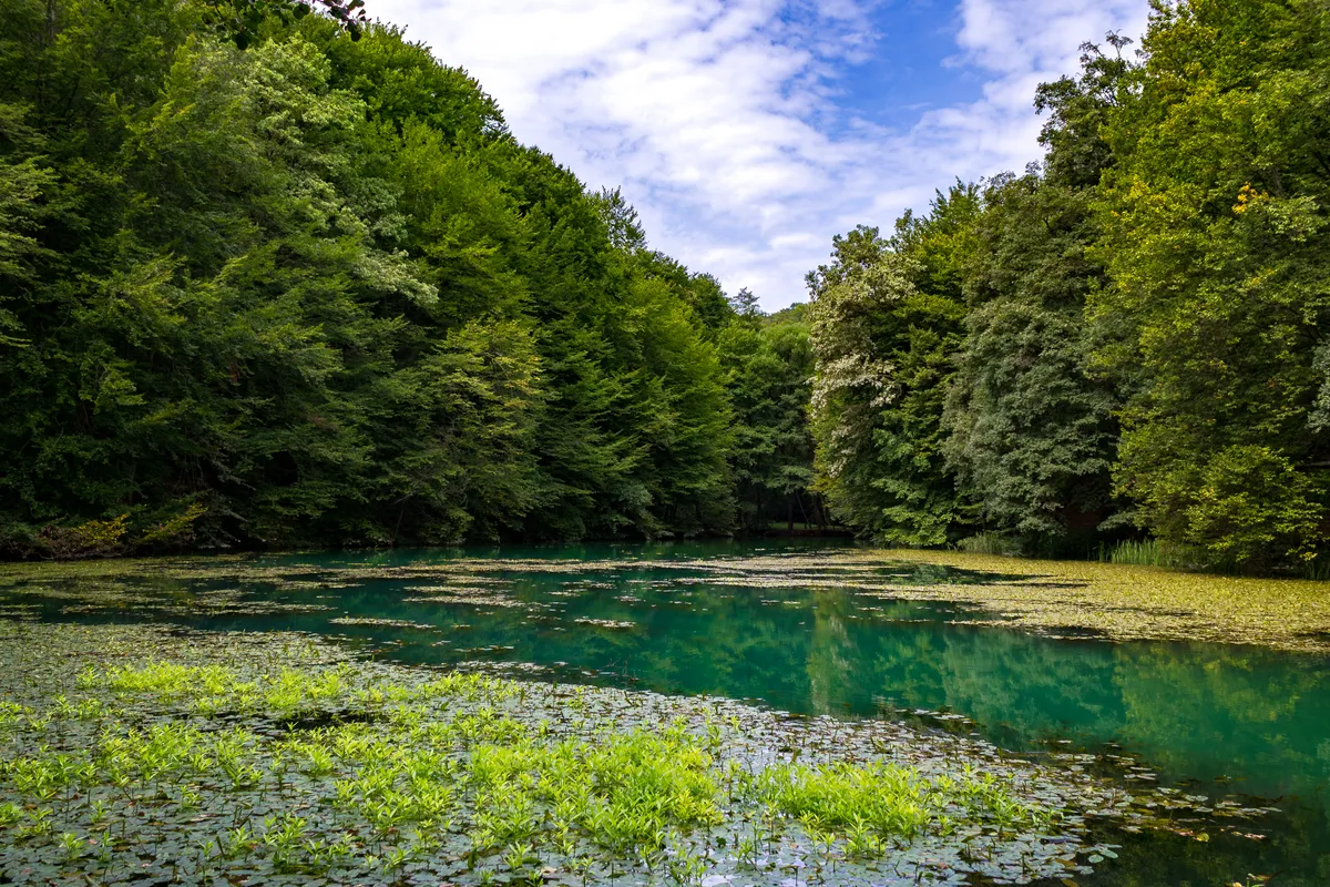 Az Aggteleki Nemzeti Parkhoz tartozó Tengerszem-tó