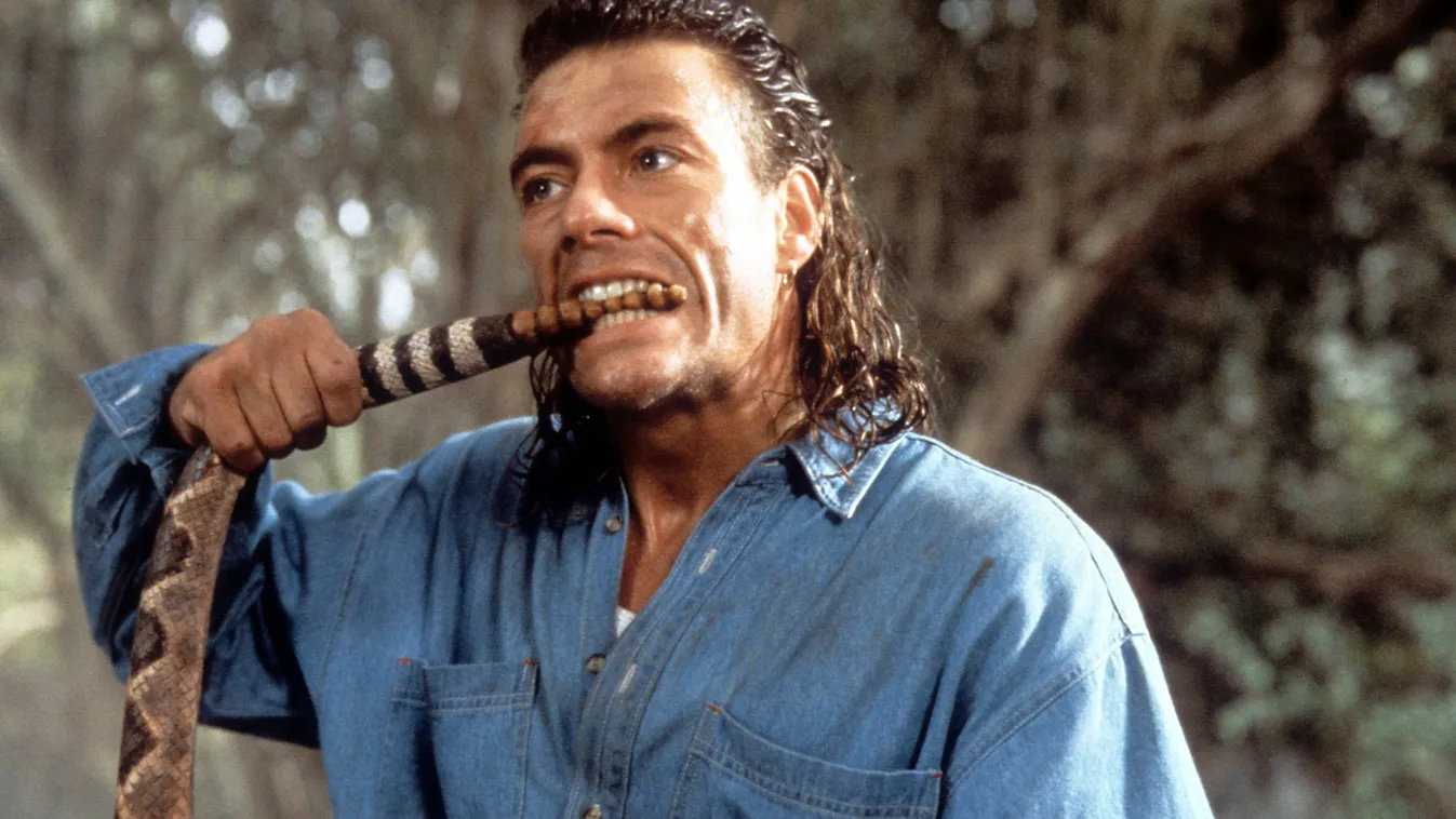 Jean-Claude Van Damme, Dolph Lundgren, Steven Seagal – Jöhet egy kőkemény filmes kvíz a 90-es évek legsármosabb szívtipróiról?