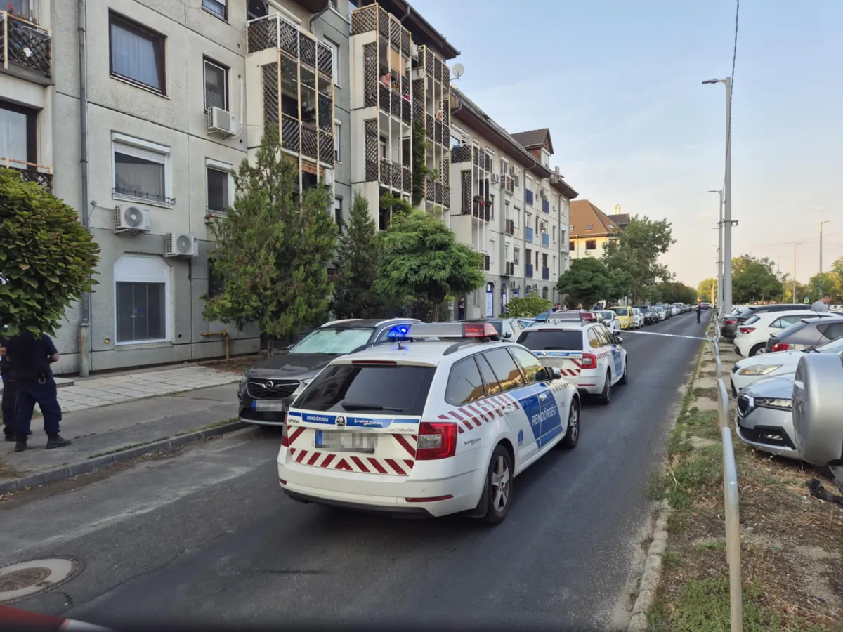 Saját fia ölt meg a 67 éves asszonyt
