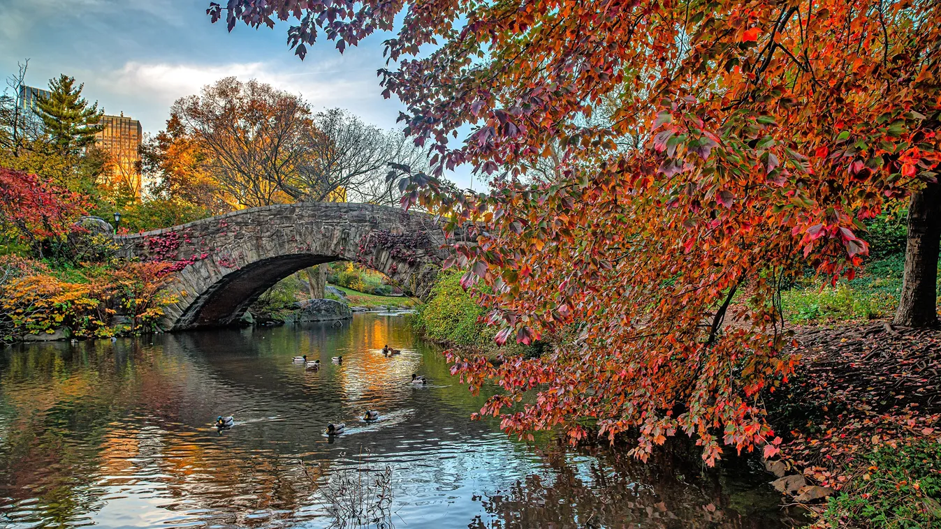 A New York-i Central Park őszi színekben életre szóló emlékeket kínál.
