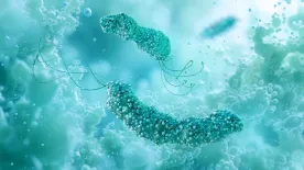 A világ fele ettől a betegségtől szenved, csak nem tud róla – Te vajon fertőzött vagy?