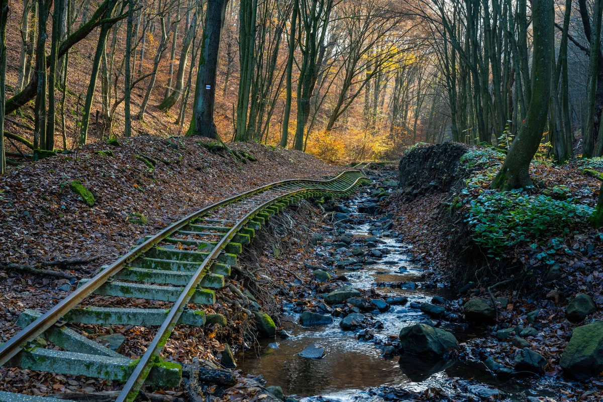 Börzsöny, elhagyatott kisvasút