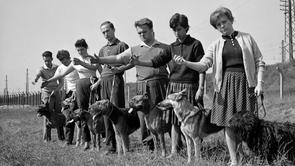 Magyar retró kvíz – A legműveltebbek közé tartozol, ha hibátlanul ki tudod tölteni