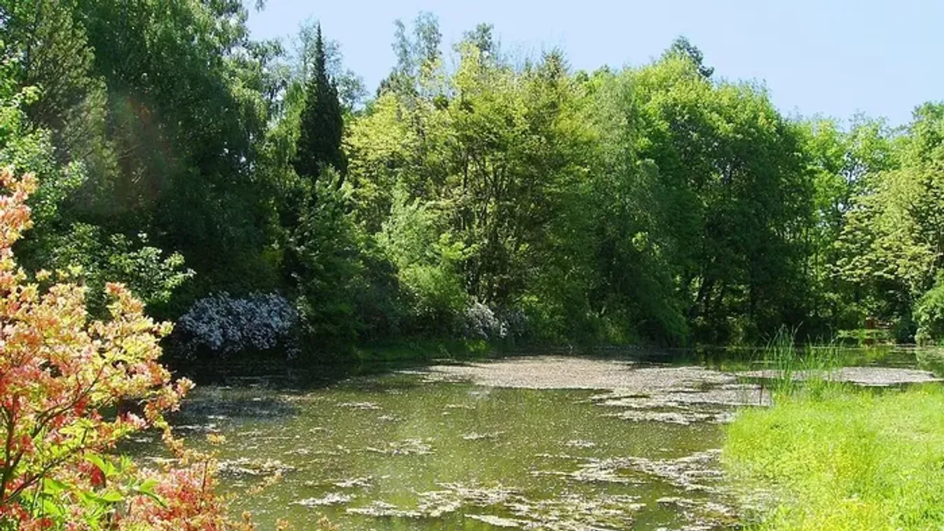 5 magyarországi arborétum, amelyet ősszel kell meglátogatnod