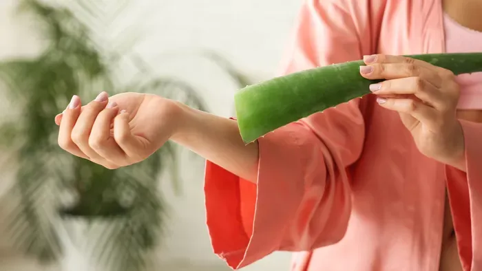 Aloe Vera: csodás növény, de ha nem jól használod méreg
