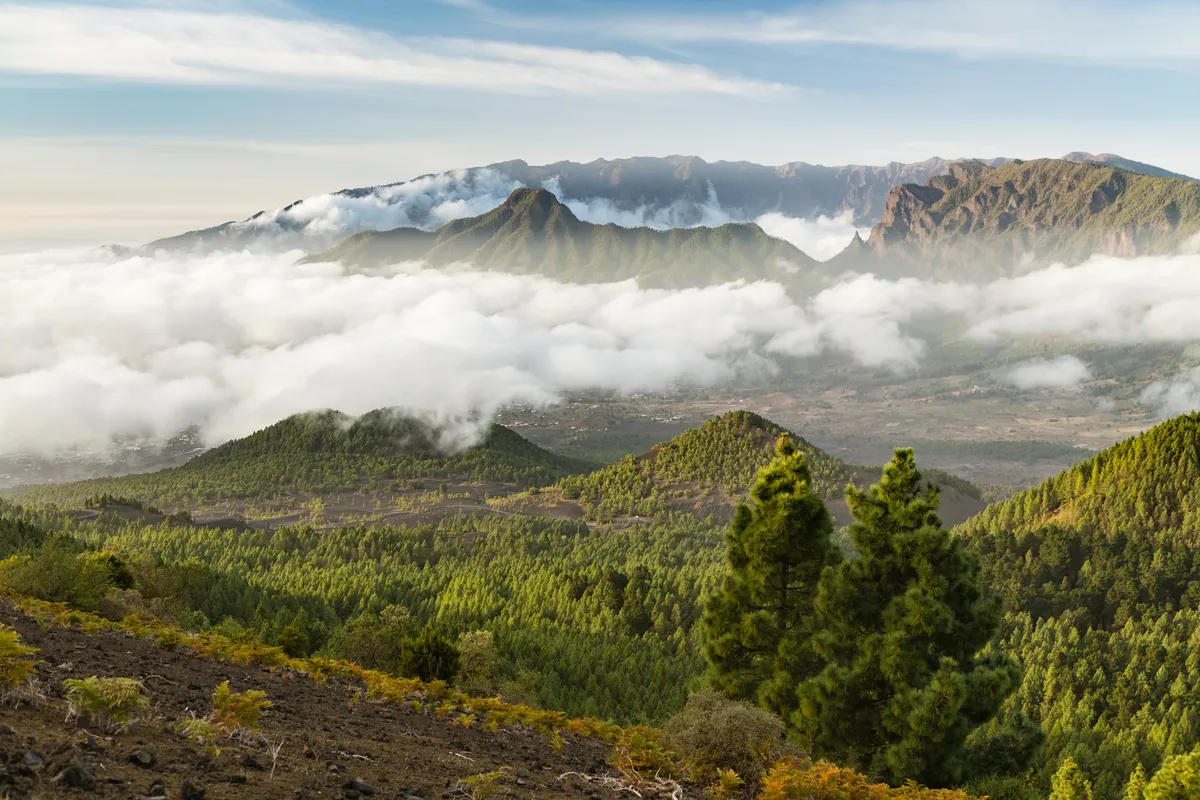 Kanári-szigetek, La Palma vadregényes, erdei tája, leereszkedett felhőkkel