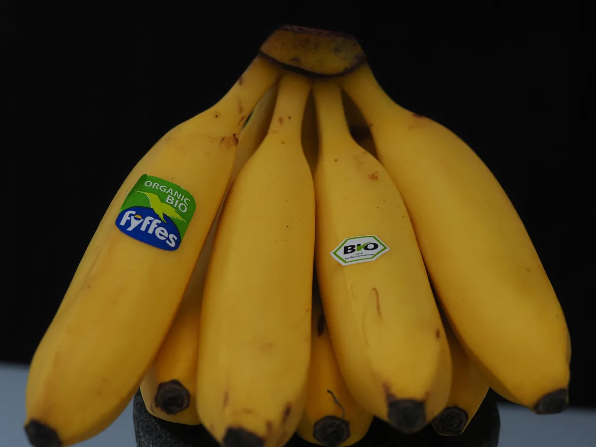 Bio banán