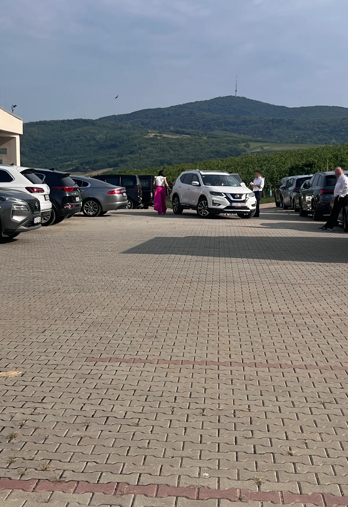 Mikes Anna és Krausz Gábor esküvői helyszínének parkolója