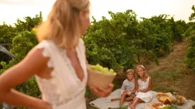 Édes szemek, sós ízek – Ellenállhatatlan szőlős recept, amivel leveszed a családot a lábáról