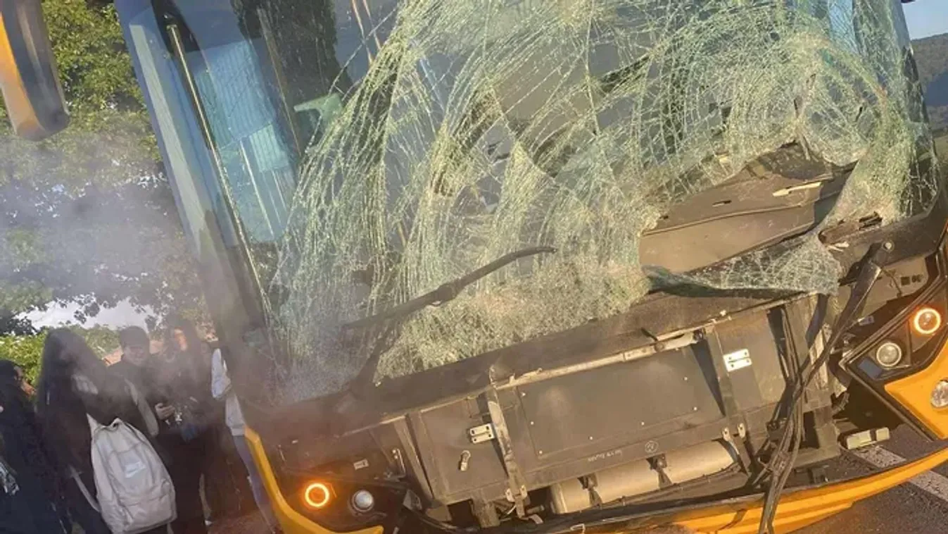 Dubicsány: Szarvassal ütközött a busz, négyen megsérültek