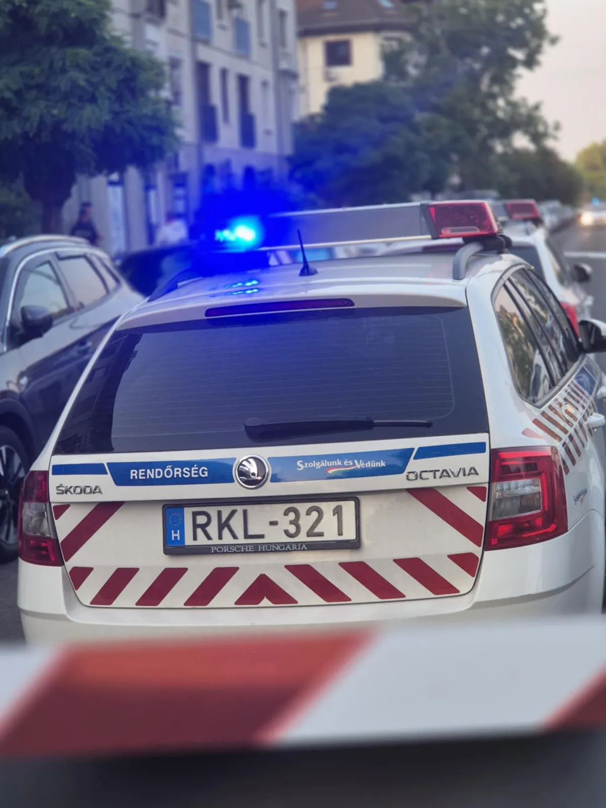 A soroksári gyilkos kétszer is megszúrta Zsuzsannát