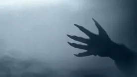 Gyilkosság, vérfertőzés és kannibalizmus – a német farkasember gyomorforgató története