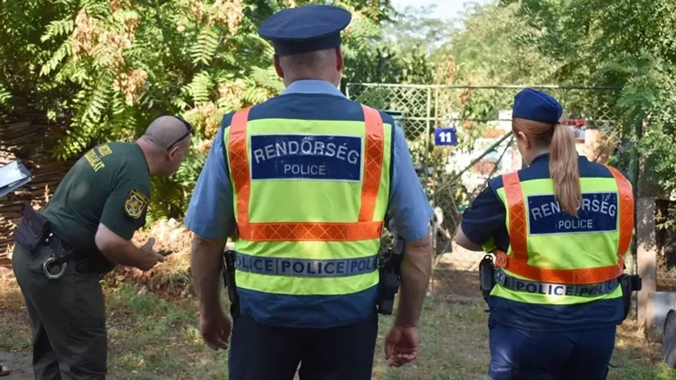 Kóbor kutyák terrorizálják a lakókat, az egyenruhásoknak kellett közbelépni
