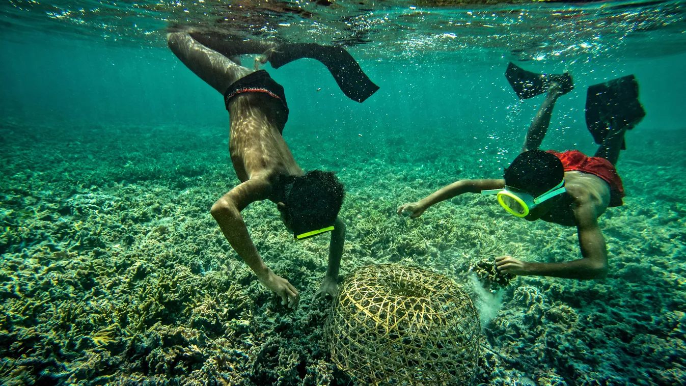 Bajau törzs víz alatt vadászó tagjai