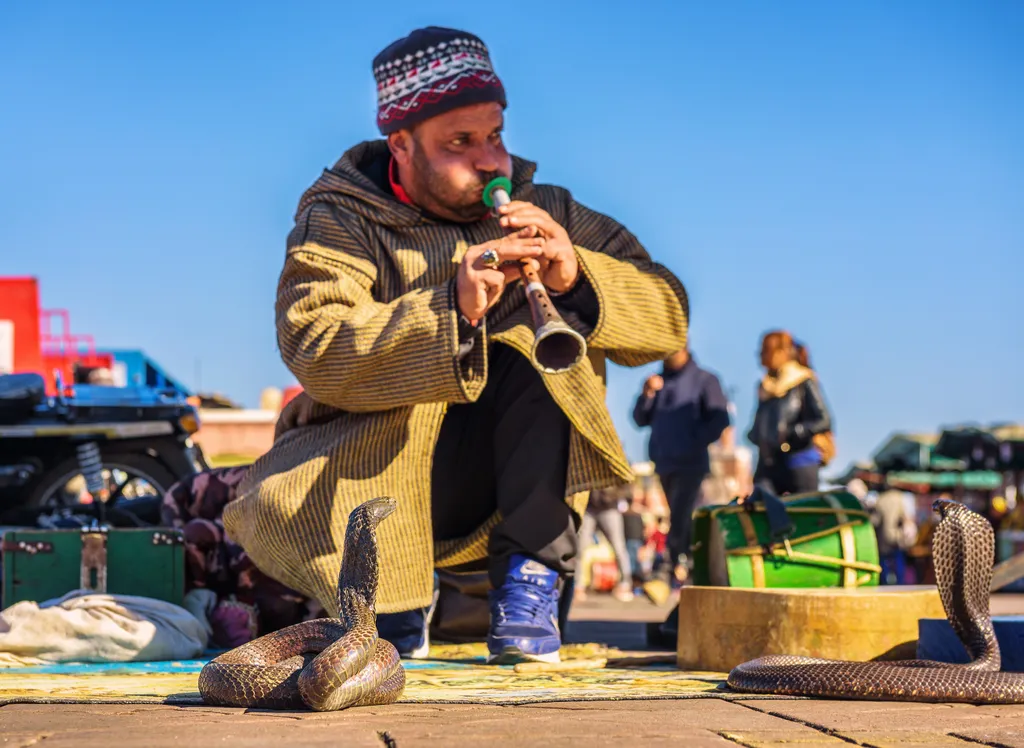 A marrakechi piactér az ételárusok mellett mesemondóknak, zenészeknek és előadóművészeknek is otthont ad, de még kígyóbűvölőkkel is találkozhatunk itt.