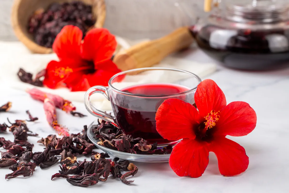 Hibiszkusz tea magas vérnyomás ellen