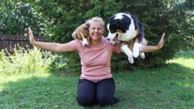 Nyugdíjba vonul a hollókői sztárkutya, aki Simon Cowell-t is lenyűgözte