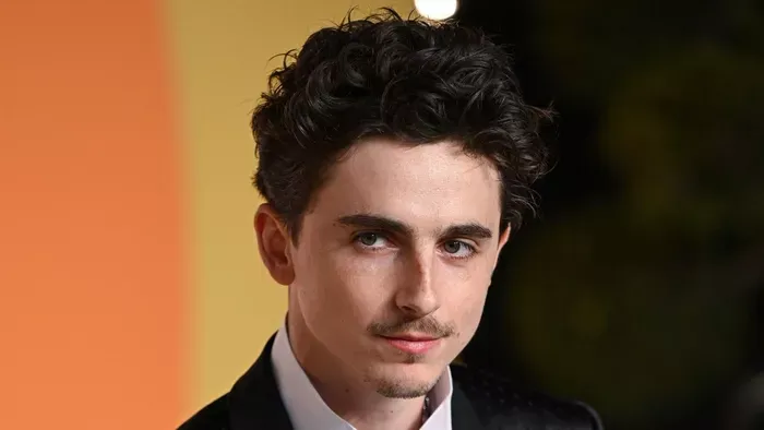 Timothée Chalamet nővére az HBO Max sikersorozatának sztárja