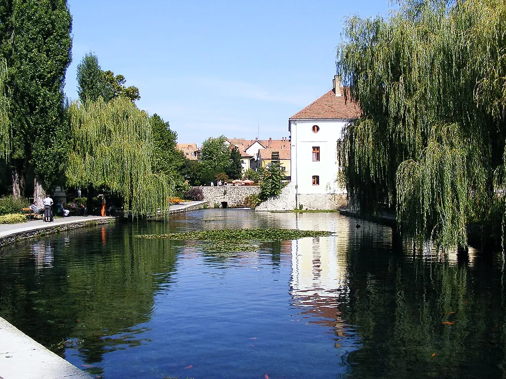 Tapolca, Malom-tó, szomorú füzek, malom