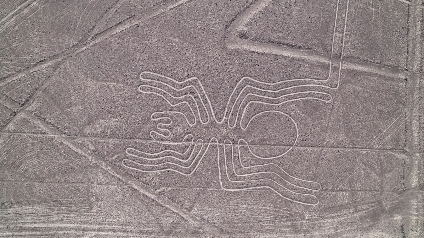 Állatot ábrázoló Nazca-vonalak képe