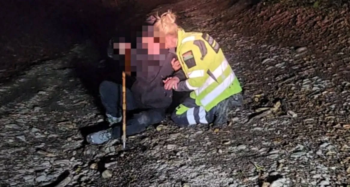A mentőcsapat a rendőrséggel együttműködve vizsgálta át a Dobogókő és Pilisszentkereszt közötti erdős területet. 