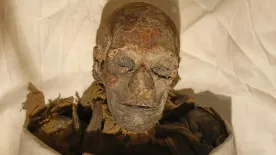 A tudósok a fáraó&nbsp;átkában találhatták meg a vérrák ellenszerét