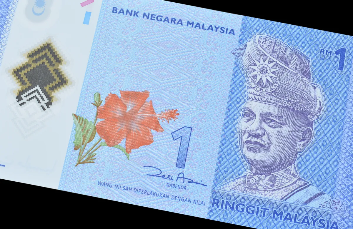 A malajziai fizetőeszköz, a ringgit, amelyen a hibiszkusz látható - szintén feladat kapcsolódott hozzá az Ázsia Expresszben