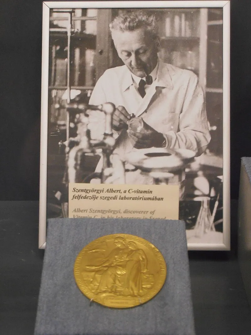 Szent-Györgyi Albert Nobel-díjának másolata