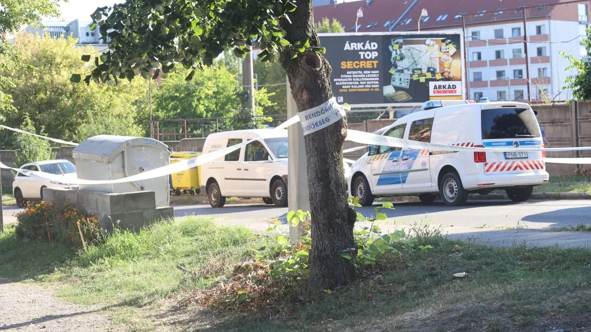 gyilkosság