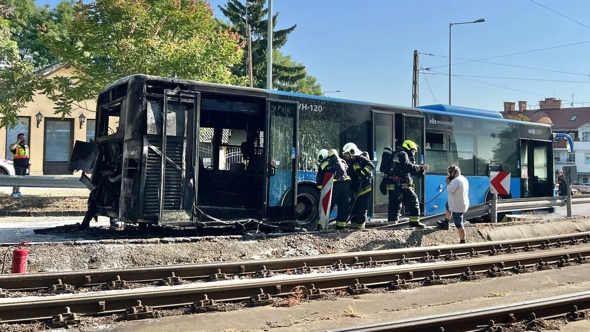 A számok sokkolóak: 109 buszt vizsgáltak át eddig Budapesten - mindössze 45-tel nem volt gond