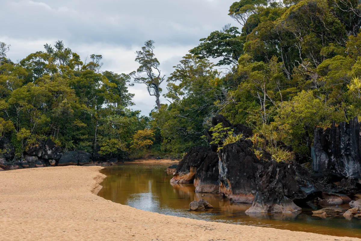 A madagaszkári Masoala Nemzeti Park érintetlen környezete, amit benyovszky Móric is éppen ilyennek láthatott
