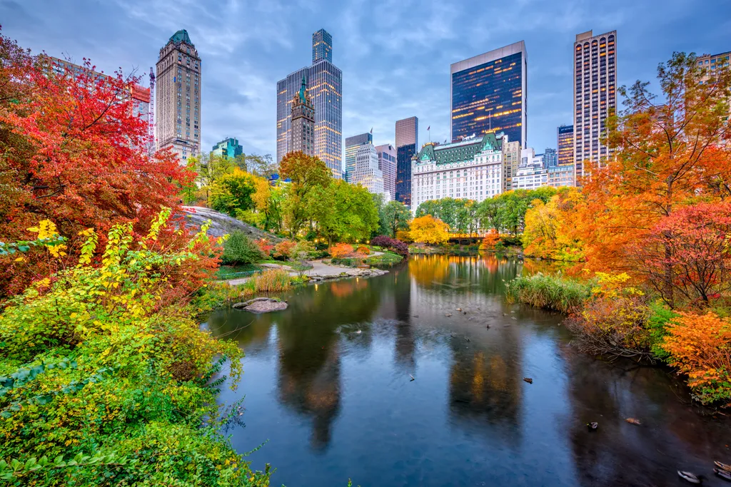 Az Egyesült Államok legnagyobb metropoliszának, New Yorknak a közepén kialakított Central Park idilli természeti menedék az urbánus környezet szívében. Ősszel a park fái a rőt vörös és az okkersárga ezernyi árnyalatában pompáznak.
