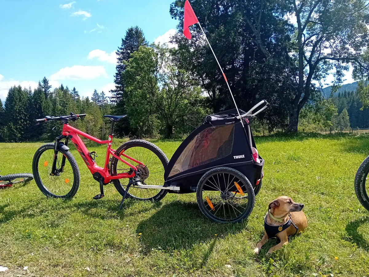 E-bike túra kutyával