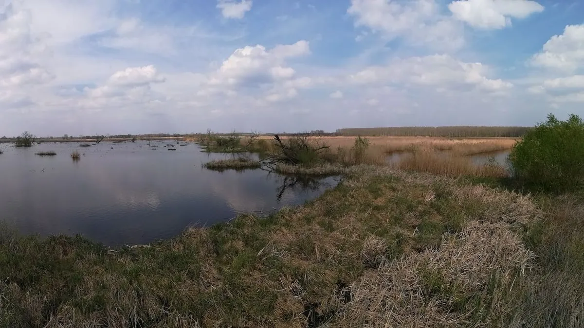 Hany Istók, legenda, Hanság