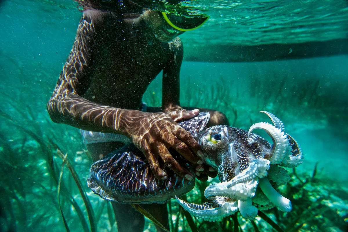 Fiú a Bajau törzsből a víz alatt