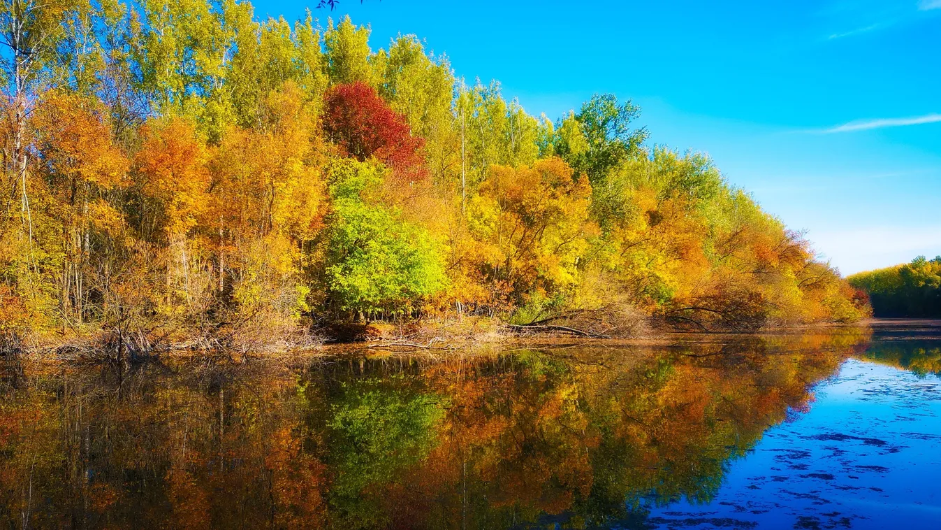 A gemenci erdő ősszel is izgalmas úti cél