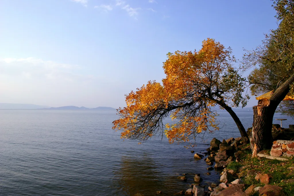 Ködös őszi reggel a Balaton partján, ahol a színpompás lombozatot magukra öltött fák a lassan felszálló párát és a melengető napsütést várják.