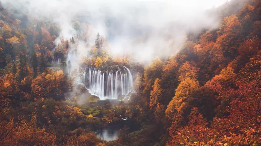 Őszi elvonulás Európa tavainak partján