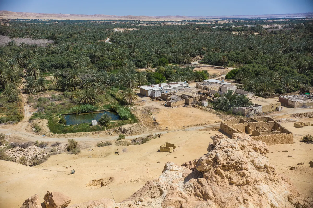 Alexandria, Egyiptom, Siwa-oázis