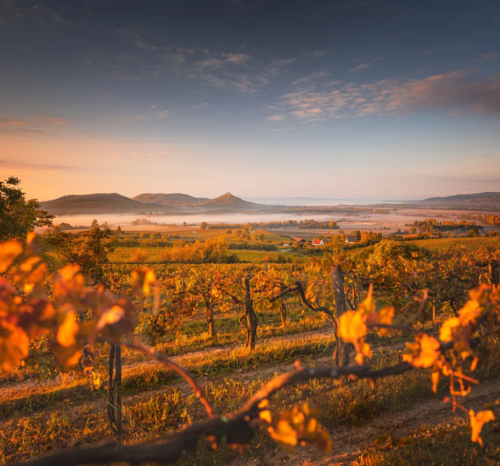 Az őszi Balaton színei, fényei egészen különleges atmoszférát kínálnak a tájnak, amely a fülledt nyári időszak után a lelassult, csendes, elmélyülős pillanatokat kínálja az ide látogatóknak.
