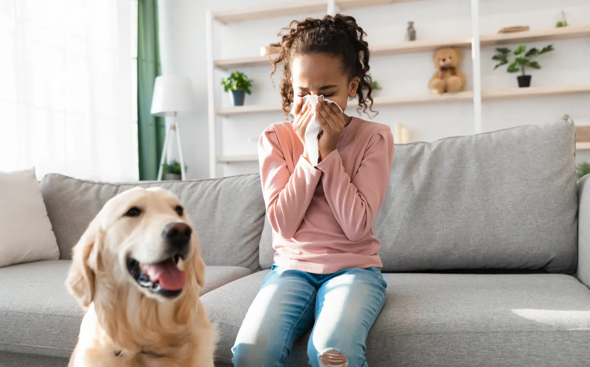Kutyaszőr allergia, amivel egy gyermek küzd.
