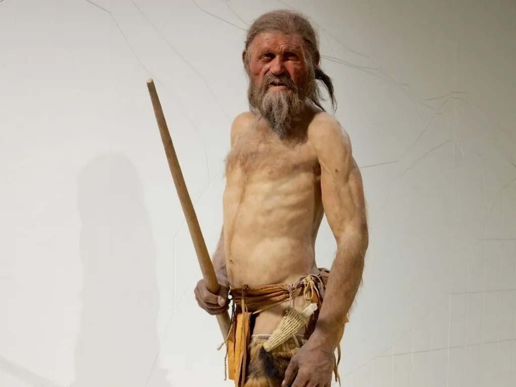 Ötzi, a jégember fegyverével.