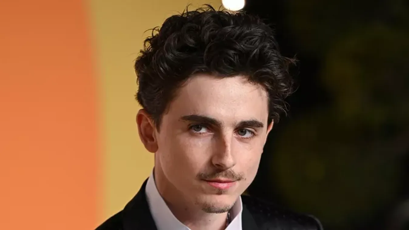 Láttad már Timothée Chalamet nővérét? Pauline Chalamet meghódította a tévé világát