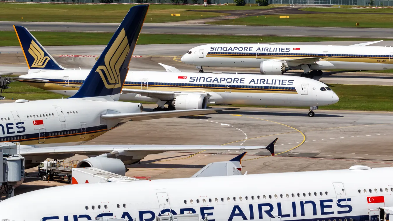 A Singapore Airlines új megoldást keresett a holttestek szállítására