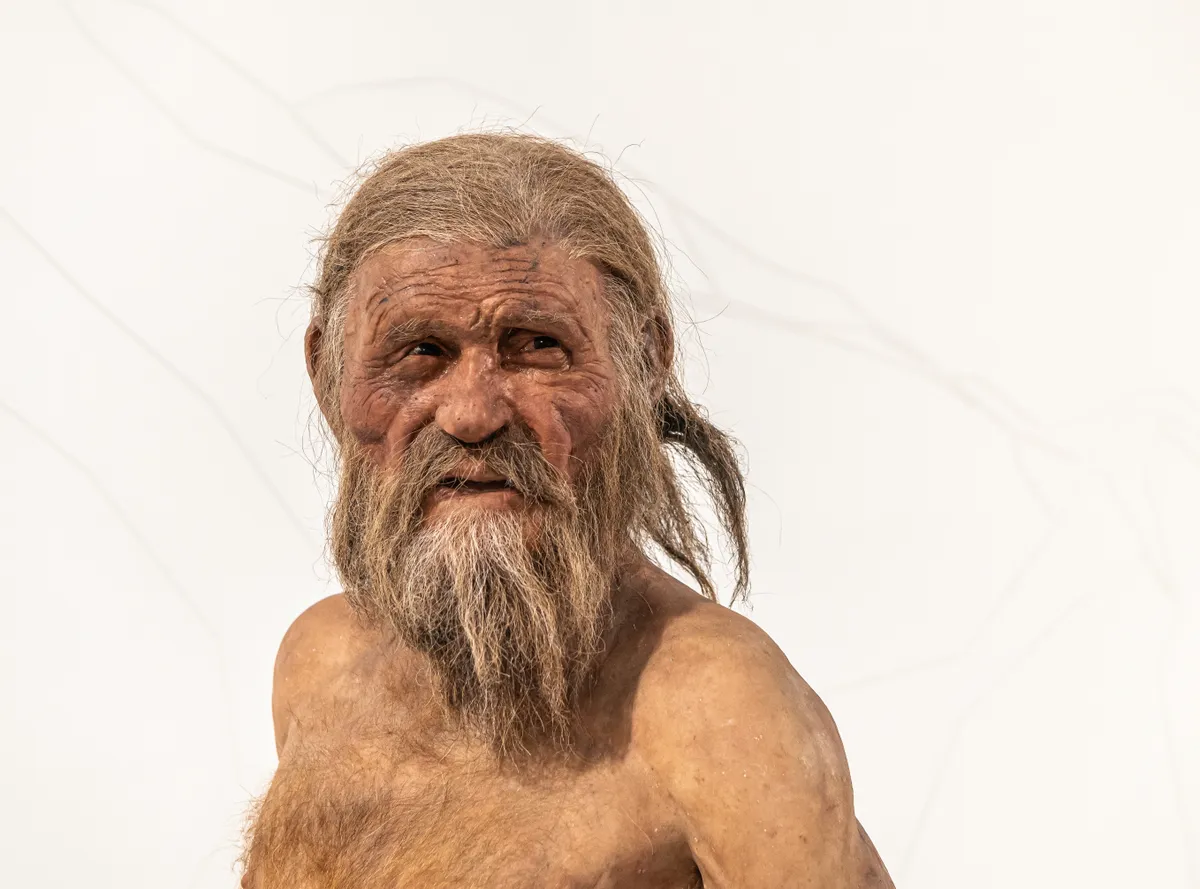 Ötzi a jégember arca.