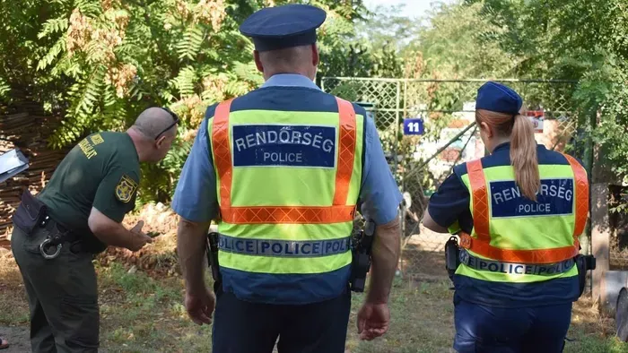 Borzalom: kóbor kutyák terrorizálják a lakókat
