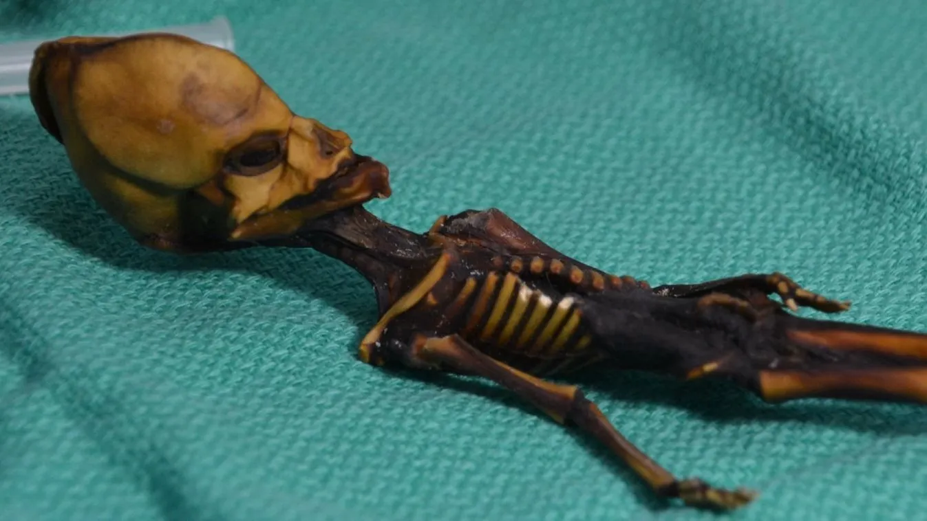 Ata a földönkívülinek hitt csontváz Chiléből az Atacama-sivatagból.