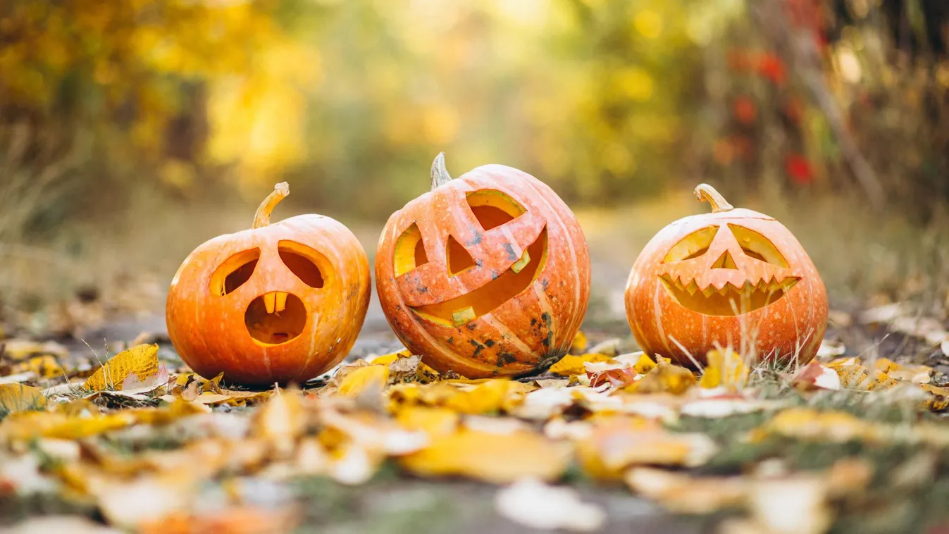 Halloweentökök egy leveles réten