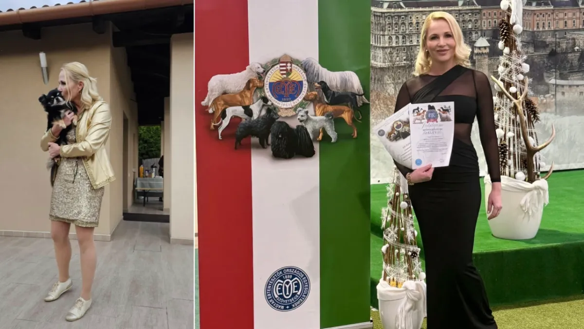 Miló Viki sorra zsebeli be a világbajnoki címeket milliókatt érő kutyáival.